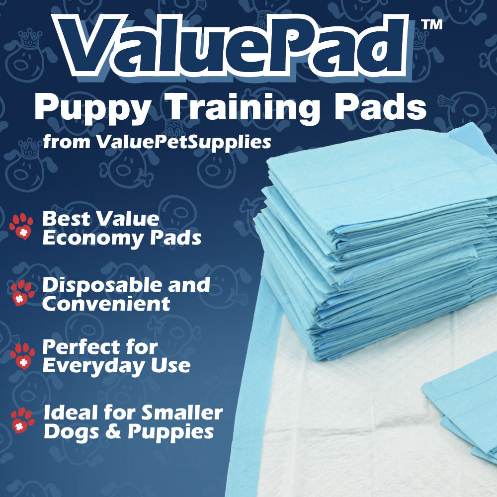 ValuePad Puppy Pads, Small 17x24 Inch, 300 Count - Economy Training Pads for Dogs, Leak Proof 5-Layer Design 