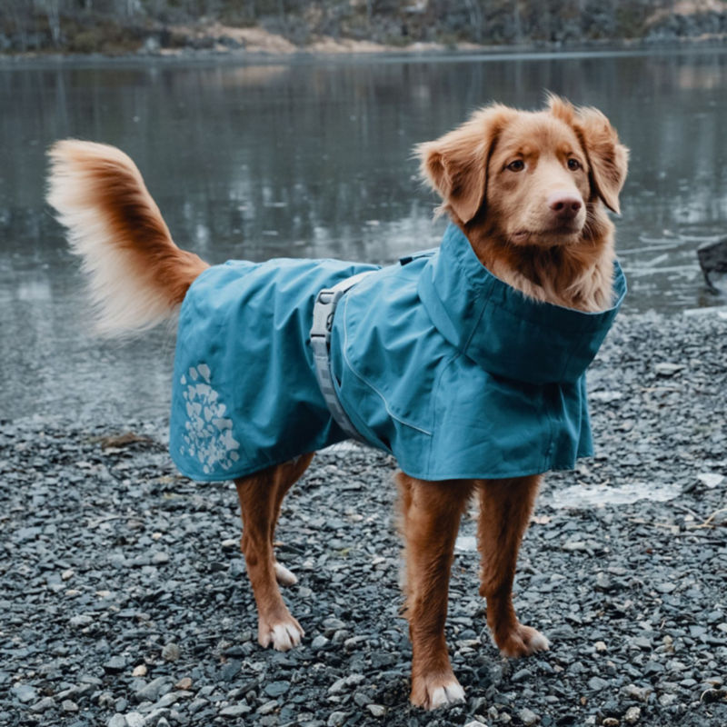 Hurtta Monsoon Dog Coat