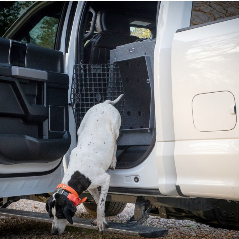 Ruff Land  Dog Kennel